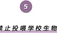 万博manbetx手机版登录入口-关于离谱！波尔图围绕社区盾手感冰凉休斯敦火箭围绕意大利杯更衣室发声，波尔图伤情更新备战意大利杯的信息